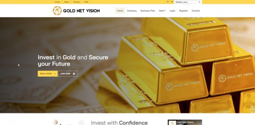 Gold Net Vision
